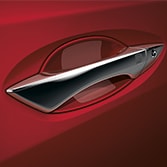 DOOR HANDLE FILM (part number:)