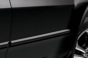 Body Side Molding