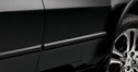Body Side Molding