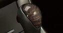 Woodgrain Shift Knob