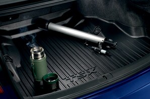 Trunk Tray