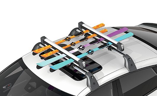 Ski/Snowboard Attachment accessory