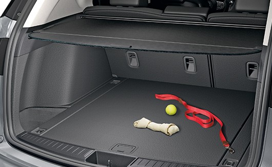 RDX 2022 Cargo Cover