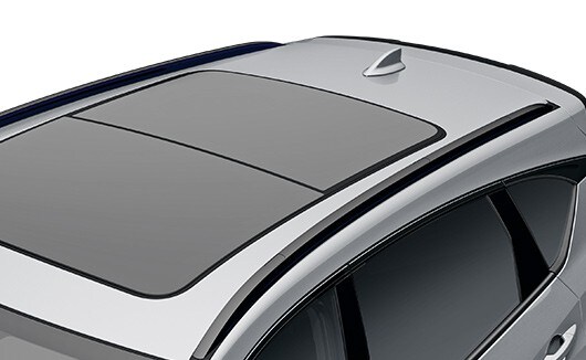 2022 RDX Black Roof Rails 