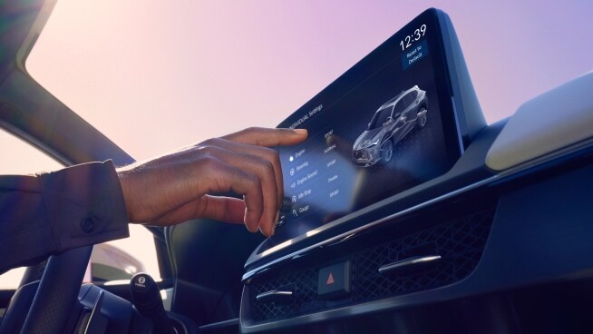 Customizable Driving Experience