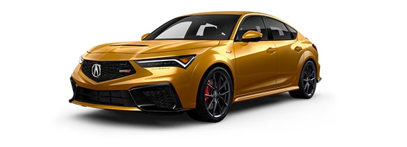 ����� ������� 2024