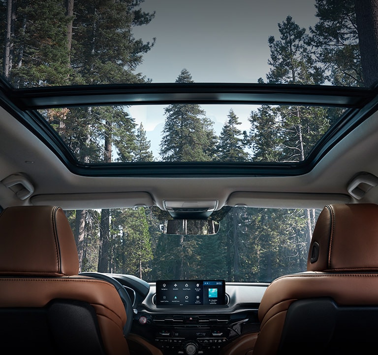 2022 Acura MDX Advance Panoramic Moonroof