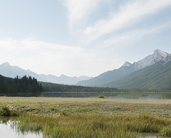 2026 Acura MDX Search Inventory profile view in Liquid Carbon Metallic
