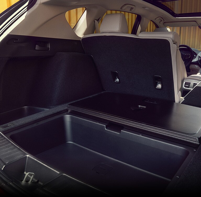 Acura 2023 RDX cargo area one underfloor storage open