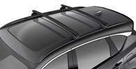 2025 RDX crossbars accessory
