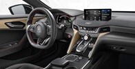 2025 Acura TLX Interior Wood Trim.