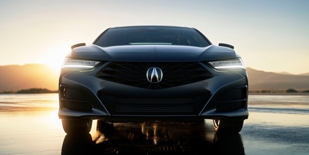 Bumper Kit | ACURA TLX 2024