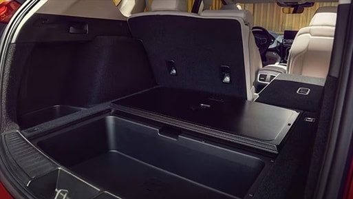 RDX rear cargo view with Parchment interior RDX rear cargo view with Parchment interior